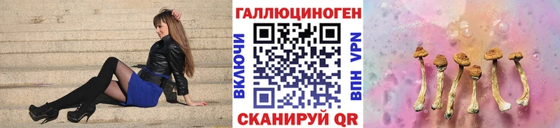 Псилоцибиновые грибы Psilocybine cubensis  OMG tor  Динская 